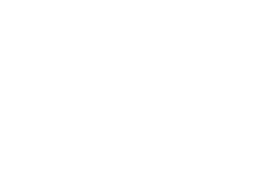 Future Flex Golf